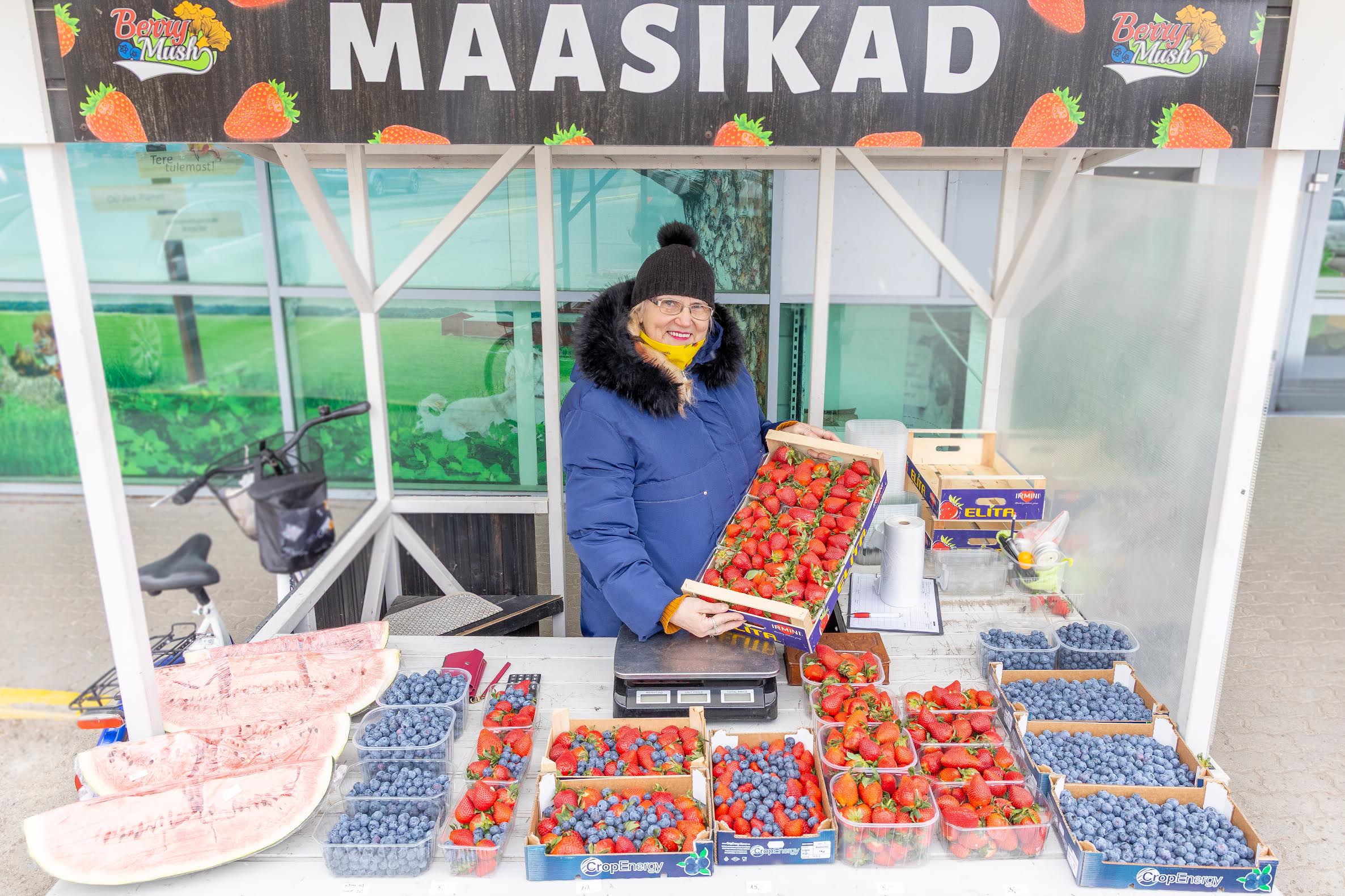 Õues maasikaid, mustikaid ja arbuuse müüv Merike Kalmet külma ei pelga. Tema sõnul on vaja end lihtsalt ilmale kohaselt riidesse panna. Foto: Aigar Nagel